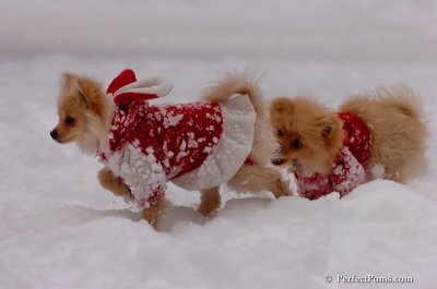 Dec18_07_617.JPG