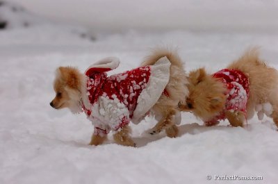 Dec18_07_619.JPG