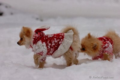 Dec18_07_620.jpg