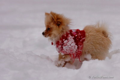 Dec18_07_628.jpg