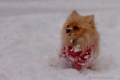 Dec18_07_630.jpg