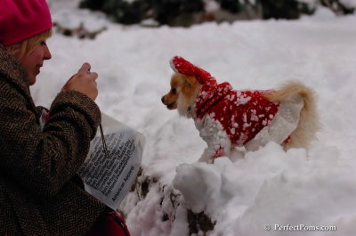 Dec18_07_631.JPG