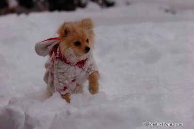 Dec18_07_633.jpg