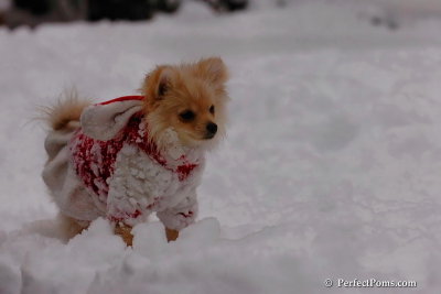 Dec18_07_634.jpg