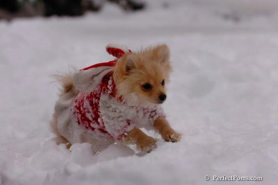 Dec18_07_635.jpg