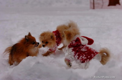 Dec18_07_640.JPG