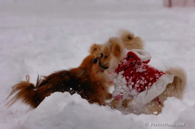 Dec18_07_641.JPG