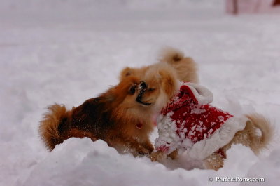 Dec18_07_642.JPG