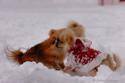 Dec18_07_643.JPG