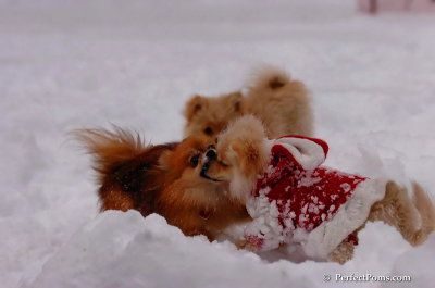 Dec18_07_644.JPG
