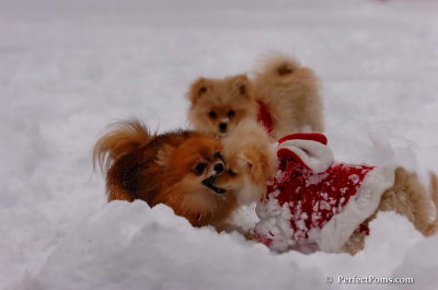 Dec18_07_646.JPG