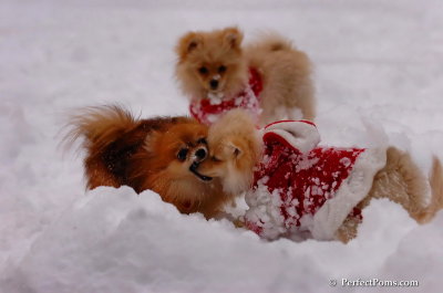 Dec18_07_648.JPG
