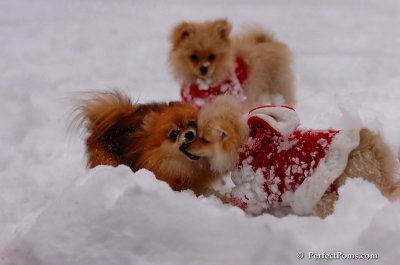 Dec18_07_649.JPG