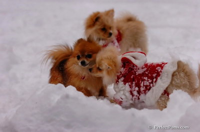 Dec18_07_650.JPG