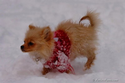 Dec18_07_654.jpg
