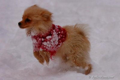 Dec18_07_655.jpg