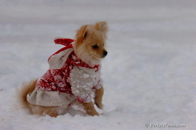 Dec18_07_656.jpg