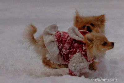 Dec18_07_658.jpg