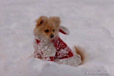 Dec18_07_660.jpg