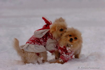 Dec18_07_669.jpg