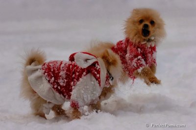 Dec18_07_671.jpg