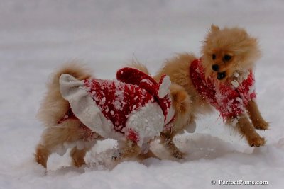Dec18_07_672.jpg