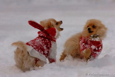 Dec18_07_673.jpg