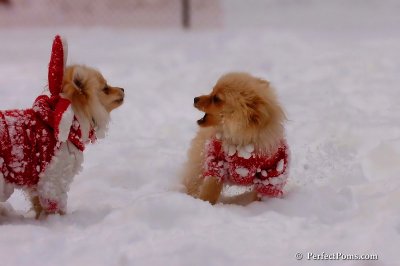 Dec18_07_674.jpg