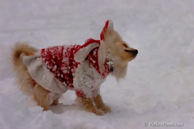 Dec18_07_676.jpg