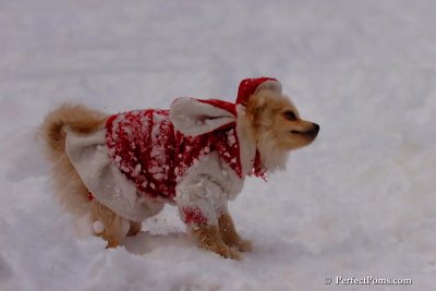 Dec18_07_677.jpg