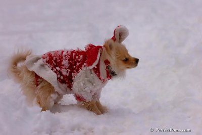 Dec18_07_678.jpg