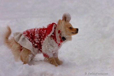 Dec18_07_679.jpg