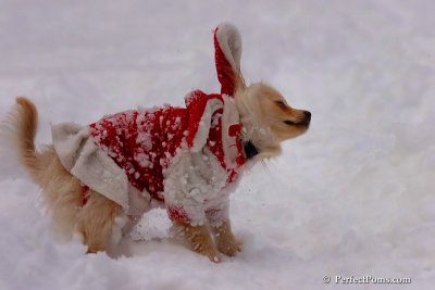Dec18_07_680.jpg