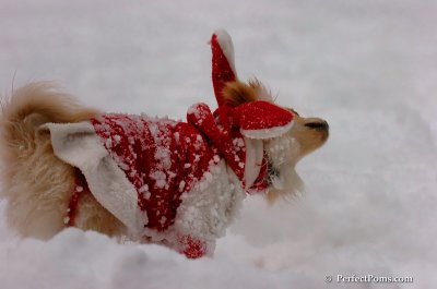 Dec18_07_682.JPG
