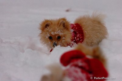 Dec18_07_683.JPG