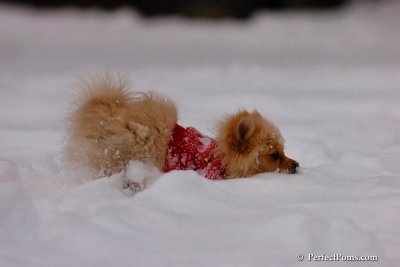 Dec18_07_684.jpg