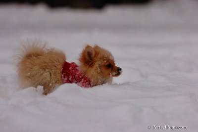 Dec18_07_685.jpg