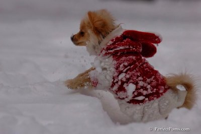 Dec18_07_688.jpg