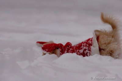 Dec18_07_689.jpg
