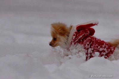 Dec18_07_690.jpg