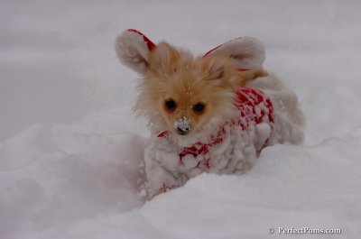 Dec18_07_691.JPG