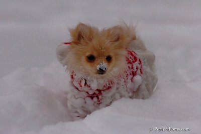 Dec18_07_692.jpg