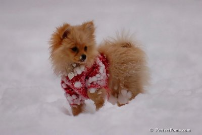 Dec18_07_695.jpg