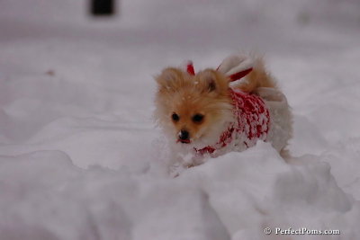 Dec18_07_698.jpg