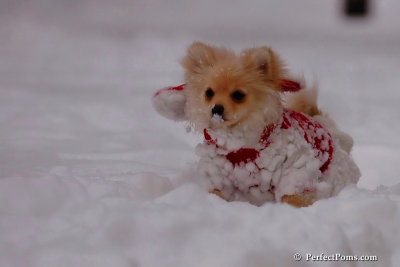 Dec18_07_700.jpg
