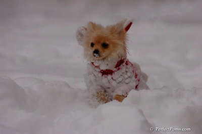 Dec18_07_701.JPG
