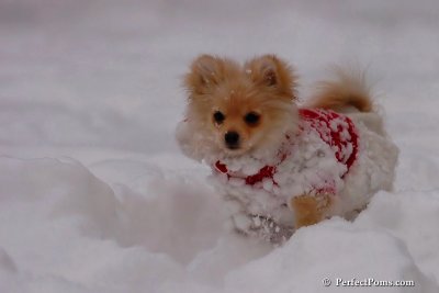 Dec18_07_702.jpg