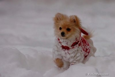 Dec18_07_703.jpg
