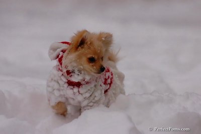 Dec18_07_704.jpg