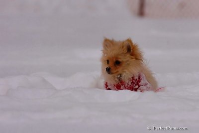 Dec18_07_139.jpg